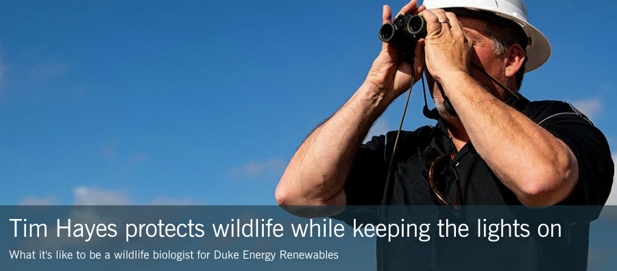 Duke Energy content example An example of a Duke Energy article.